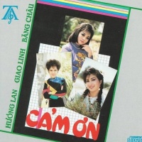 Cảm Ơn - Various Artists