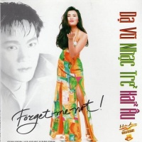 Dạ Vũ Nhạc Trẻ - Various Artists