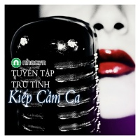 Kiếp Cầm Ca (Tuyển Tập Trữ Tình) - Various Artists