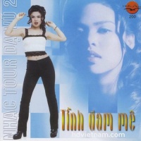 Tình Đam Mê - Nhạc Tour Dạ Vũ 2 - Various Artists