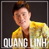 Những Bài Hát Hay Nhất Của Quang Linh - Quang Linh