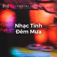 Nhạc Tình Đêm Mưa - Various Artists