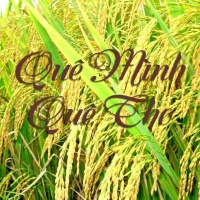 Quê Mình Quê Thơ - Various Artists