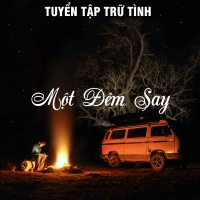 Một Đêm Say (Tuyển Tập Trữ Tình) - Various Artists