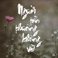 Người Tổn Thương Không Về - Various Artists