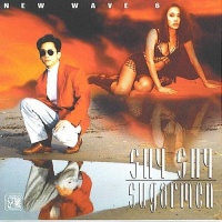 New Wave 6 - Shy Shy Sugarmen - Various Artists