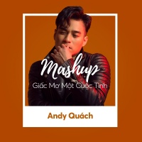 Mashup Giấc Mơ Một Cuộc Tình (Single) - Andy Quách