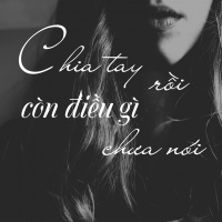 Chia Tay Rồi Còn Điều Gì Chưa Nói - Various Artists