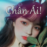 Chân Ái - Various Artists