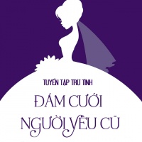 Đám Cưới Người Yêu Cũ (Tuyển Tập Trữ Tình) - Various Artists