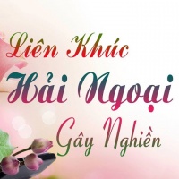 Liên Khúc Nhạc Trữ Tình Hải Ngoại Sôi Động Nhất - Various Artists