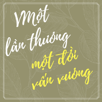 Một Lần Thương Một Đời Vấn Vương - Various Artists