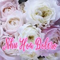 Như Hoa Bolero - Various Artists