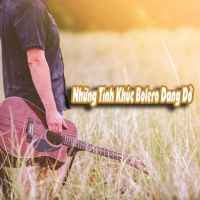Những Tình Khúc Bolero Dang Dỡ - Various Artists