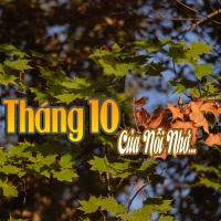 Tháng 10 Của Nỗi Nhớ - Various Artists