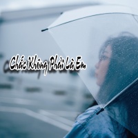 Chắc Không Phải Là Em - Various Artists