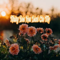 Những Đóa Hoa Dành Cho Mẹ - Various Artists