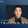 Những Bài Hát Hay Nhất Của Trường Vũ - Trường Vũ