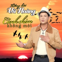 Cánh Chim Không Mỏi - Vũ Hoàng