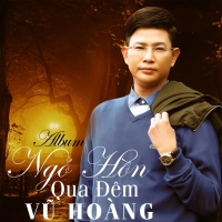 Ngỏ Hồn Qua Đêm - Vũ Hoàng