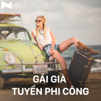 Gái Già Tuyển Phi Công - Various Artists