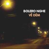 Nhạc Bolero Nghe Về Đêm - Various Artists