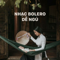 Nhạc Bolero Dễ Ngủ - Various Artists