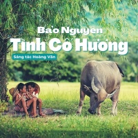 Tình Cố Hương (Single) - Bảo Nguyên