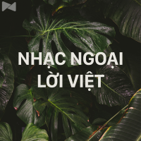 Nhạc Ngoại Lời Việt Hay Nhất - Various Artists
