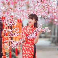 Em Chào Tết - Various Artists