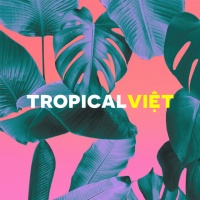 Những Bài Hát Tropical Việt Hay Nhất - Various Artists