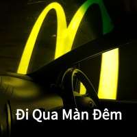 Đi Qua Màn Đêm - Various Artists