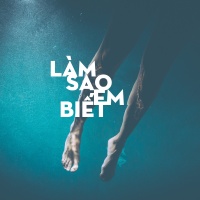 Làm Sao Em Biết - Various Artists