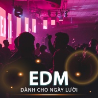 Những Bài Nhạc EDM Dành Cho Ngày Lười - Various Artists