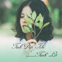 Tình Đẹp Khi... Tình Lỡ - Various Artists