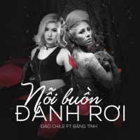 Nỗi Buồn Đánh Rơi (Single) - Băng Tình, Đào Chile
