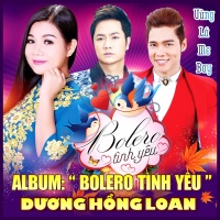 Vùng Lá Me Bay (Bolero Tình Yêu) - Dương Hồng Loan