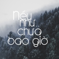Nếu Như.. Chưa Bao Giờ - Various Artists