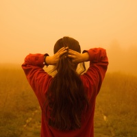 Ngỡ Gần Mà Lại Xa - Various Artists