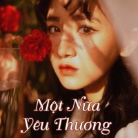 Một Nửa Yêu Thương - Various Artists