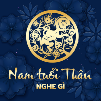 Nam Tuổi Thân Nghe Gì? - Various Artists