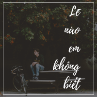 Lẽ Nào Em Không Biết - Various Artists