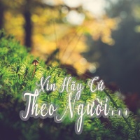 Xin Hãy Cứ Theo Người - Various Artists