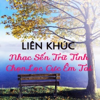 Liên Khúc Nhạc Sến Trữ Tình Chọn Lọc Cực Êm Tai - Various Artists