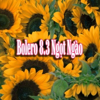 Bolero 8/3 Ngọt Ngào - Various Artists