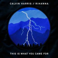This Is What You Came For (Single) - Calvin Harris