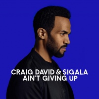Ain't Giving Up (Single) - Craig David