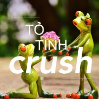 Lời Tỏ Tình Dành Cho Crush - Various Artists