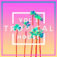 Tuyển Tập Nhạc Tropical House (Vol.1) - Various Artists