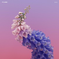 Skin - Flume